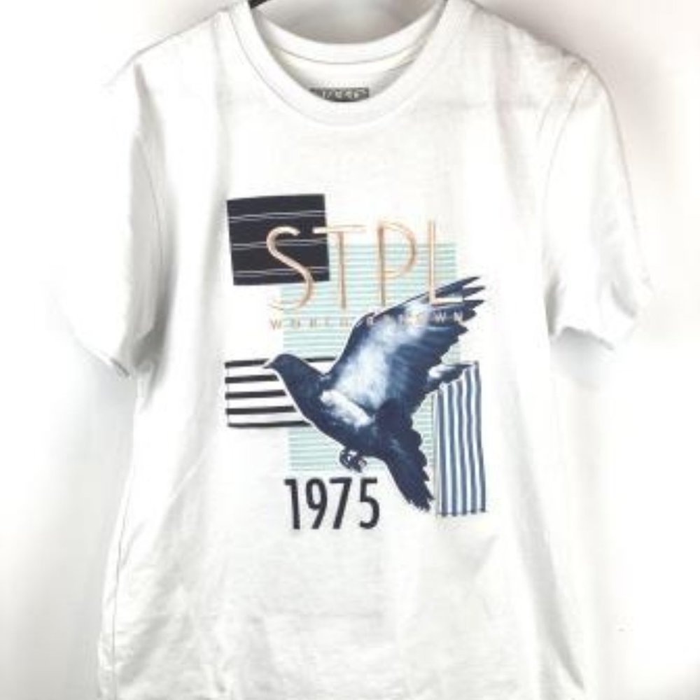 STAPLE Pigeon Men Tee